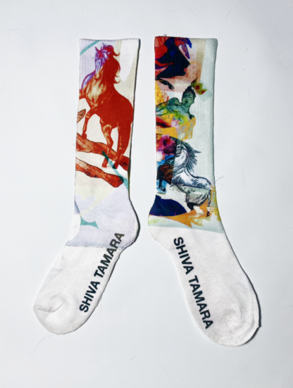 Ambien Socks Two Tone One Size - Image 4